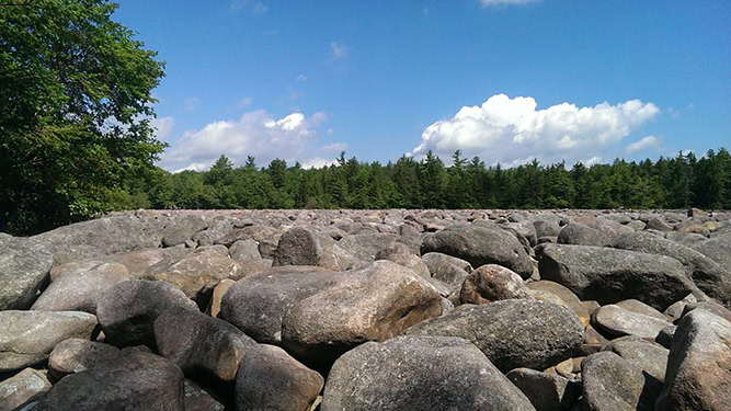 Large smooth rocks stretch across large field with green trees in the distance at Hickory Run State Park.
