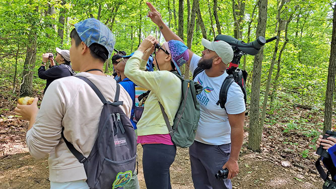 Group of birdwatchers viewing nature through binoculars. One individual is pointing towards the sky. Trees and foliage appear.