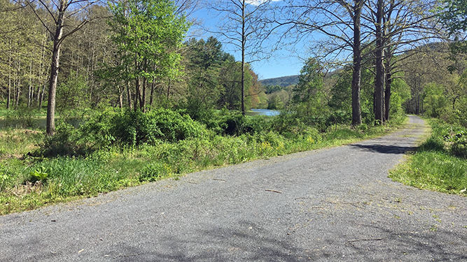 An ADA-accessible trail at Sinnemahoning State Park