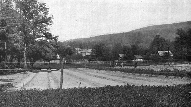 Old black and white photo showing fenced off area of nursery rows and people working in the nursery