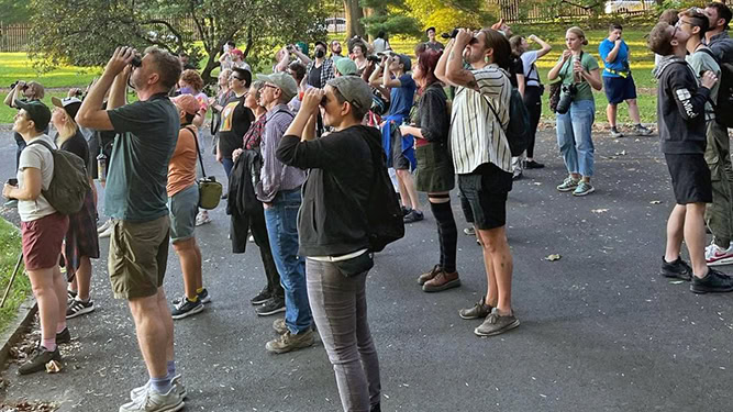 A large group of people standing on a paved road look towards the sky with binoculars.