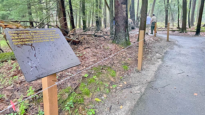 An ADA-accessible trail at Cook Forest State Park. A sign appears next to the trail detailing available experiences on the trail